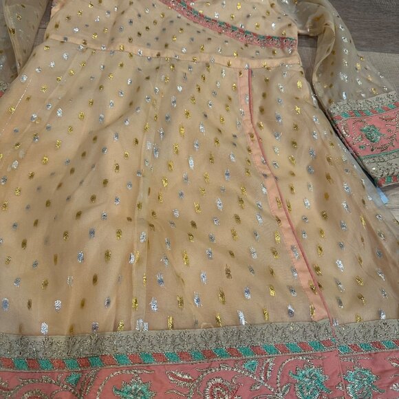 Girls Peach Traditional Embroidered Dress W/ Sheer Sleeves & Gold Detailing Size - Picture 3 of 9